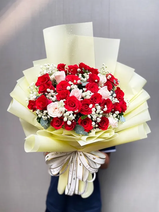 Hoa hồng đỏ