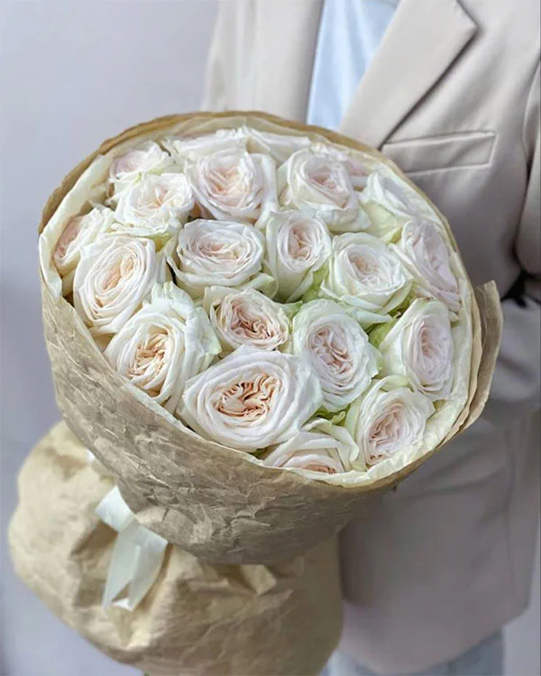 Hồng Trắng Kiêu Sa