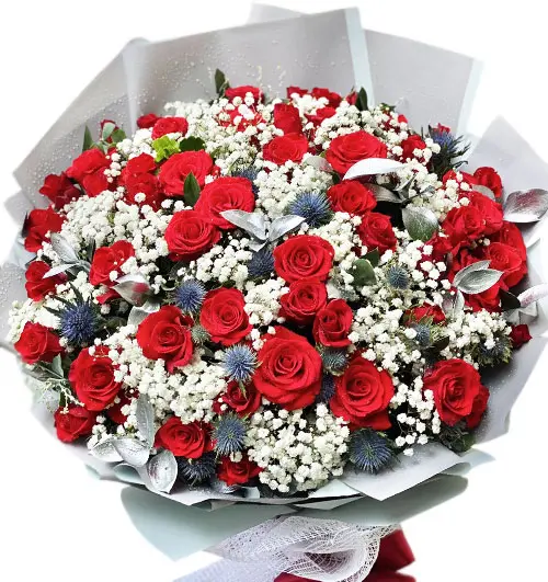 Hoa hồng đỏ