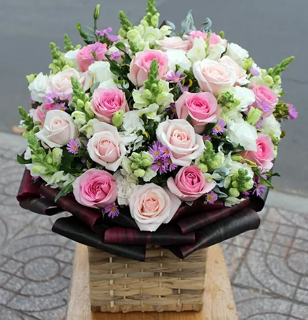 Rose-2