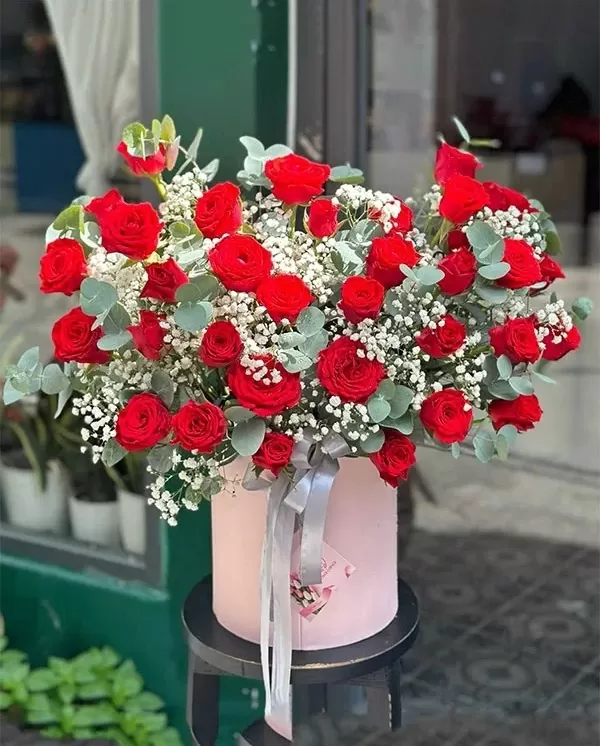 Rose-1
