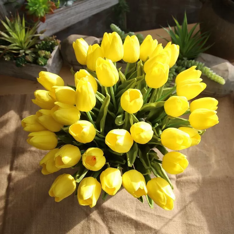 Yellow-Tulip 1