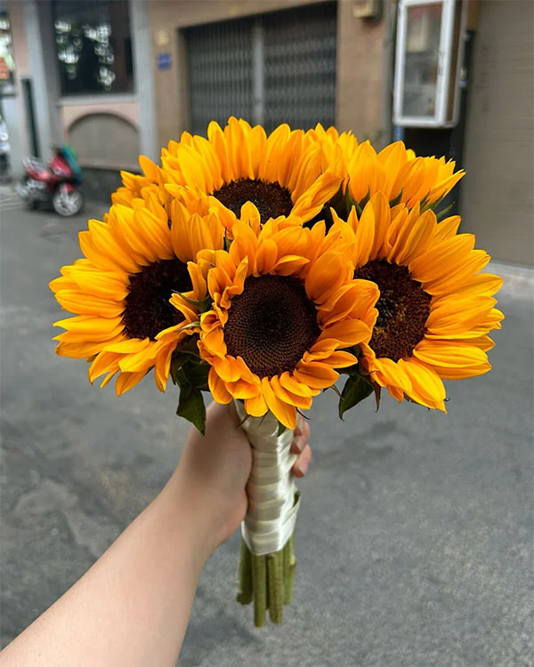 Hoa Cưới Dazzling